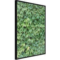 Arkiio Affisch Thick Ivy [Poster] 30x45 Poster